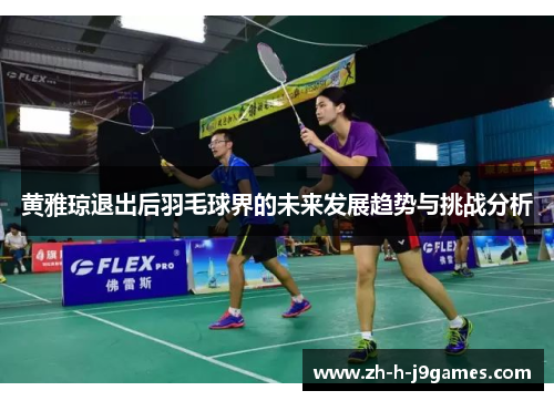 黄雅琼退出后羽毛球界的未来发展趋势与挑战分析 黄雅琼退出后羽毛球界的未来发展趋势与挑战分析
